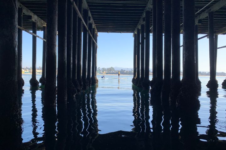 a close up of a pier next to a body of water